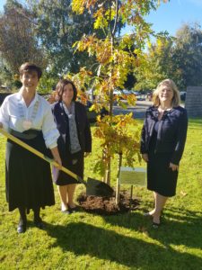 Tree planting outside county buildings to mark parliamentary suffrage to women