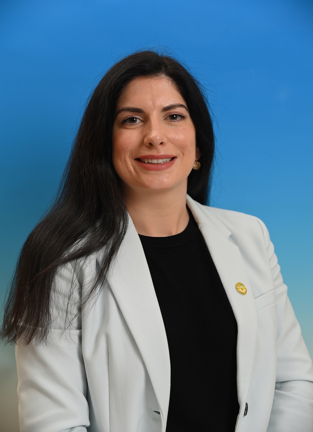 Healy-Rae, Maura (Cathaoirleach)